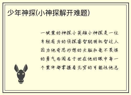 少年神探(小神探解开难题)